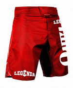 Шорты спортивные ММА LEGENDA Рать, красные
