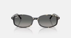 RAY-BAN SAM RB2232 133371