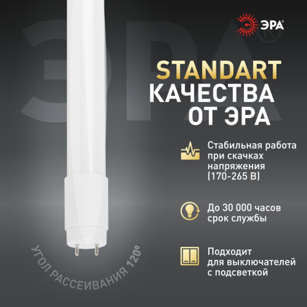 Лампа светодиодная ЭРА STD LED T8-10W-840-G13-600mm 10Вт трубка стекло нейтральный белый свет G13 поворотный | Лампы cветодиодные Линейные  (T8)