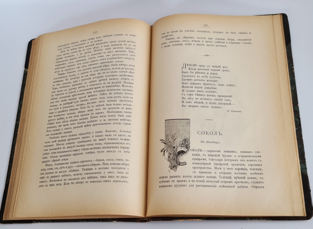 "Из родной природы". Д.Н.Кайгородов. 1907 г.