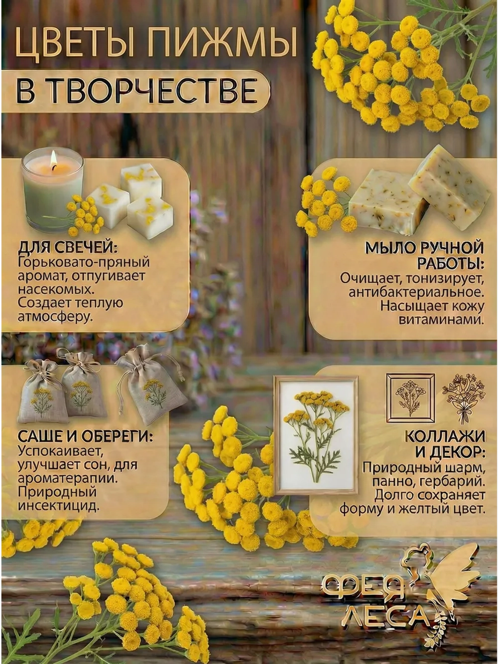 Пижма соцветия сушеные для магии, свечей, окуривания