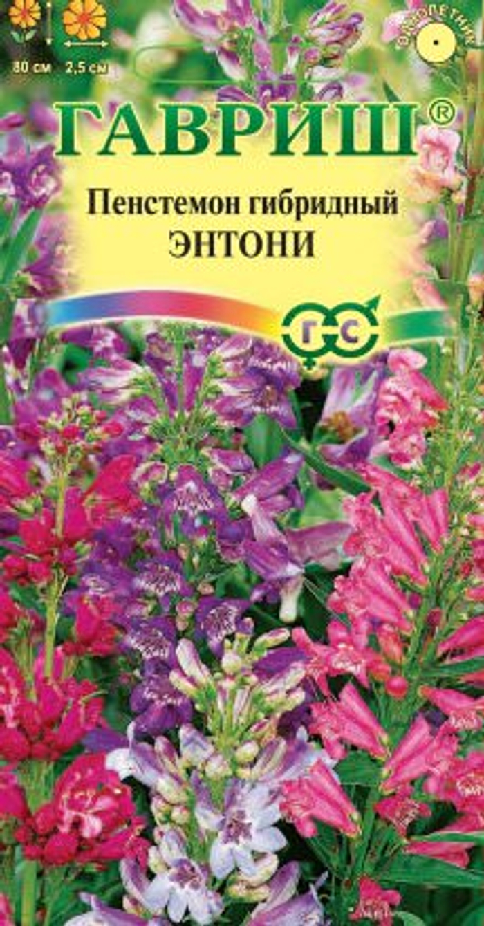 Пенстемон гибридный Энтони смесь 0,1г *10 ГШ 19.55 5432