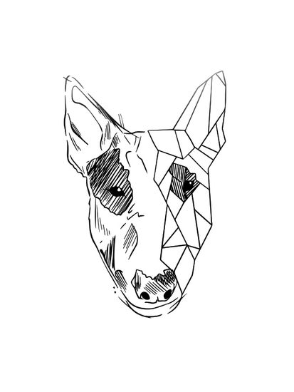 geometry dog