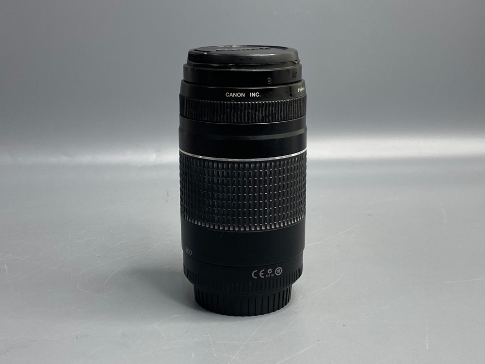 Canon EF 70-300mm F4-5.6 III