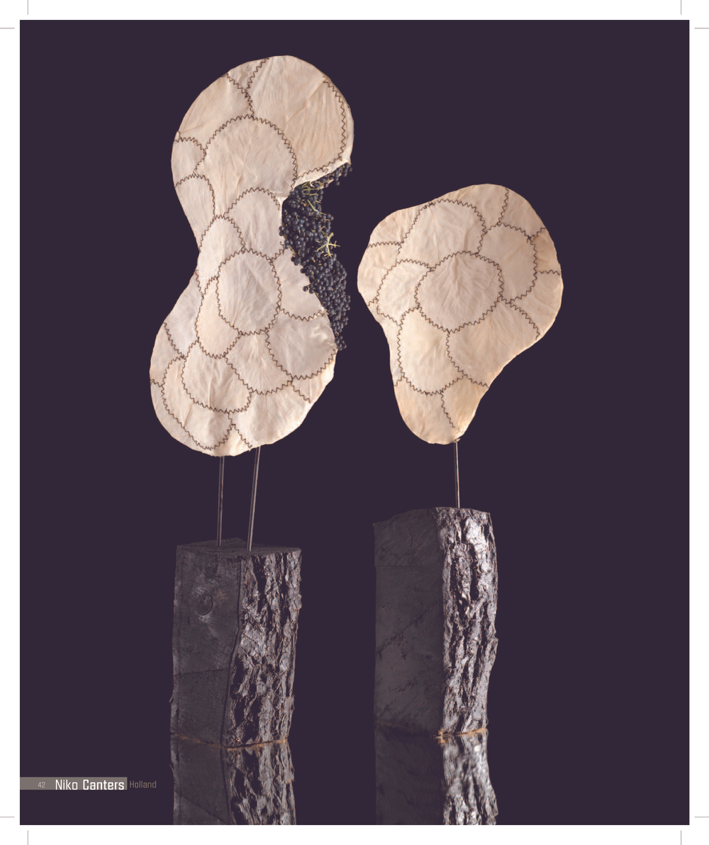 International Floral Art 2010/2011