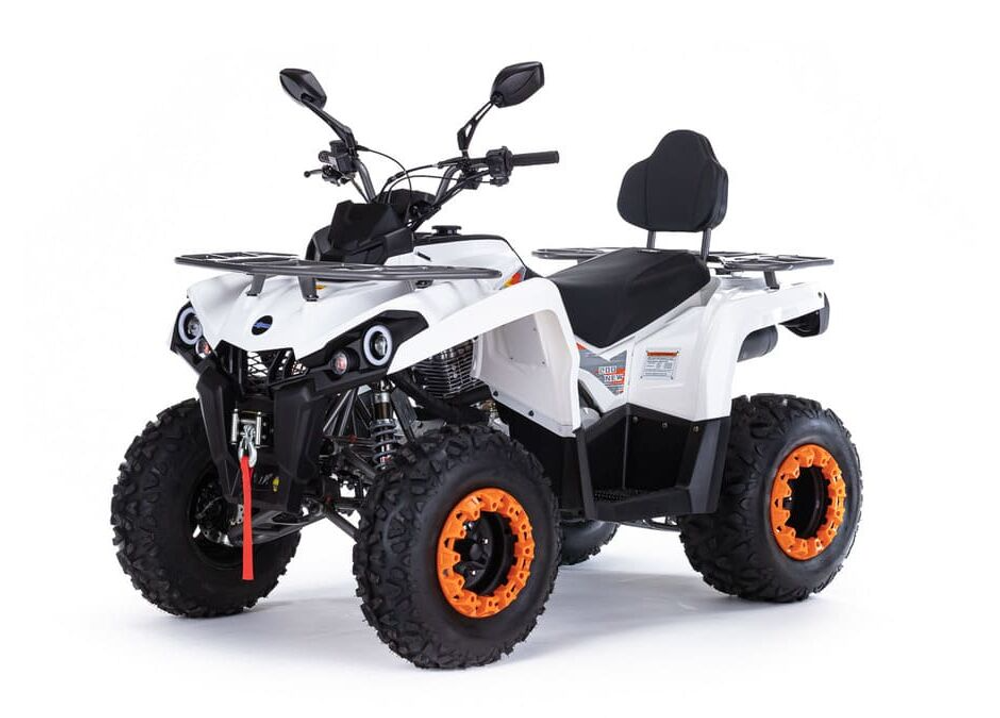 Квадроцикл MOTAX ATV Grizlik 200 Ultra