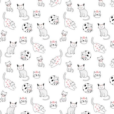 Котики