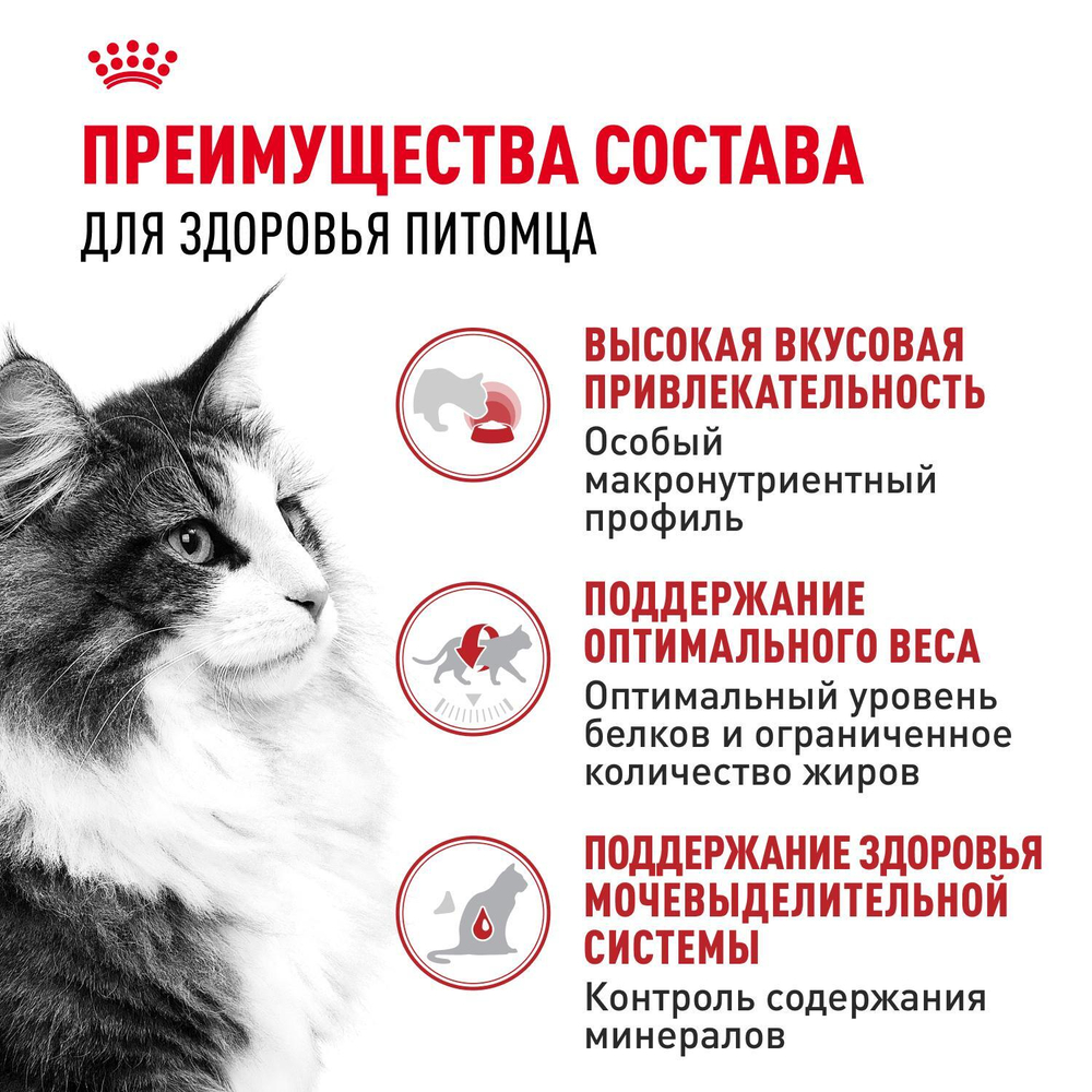 Royal Canin Instinctive Инстинктив Корм влажный для взрослых кошек в возрасте от 1 года до 7 лет соус 85г