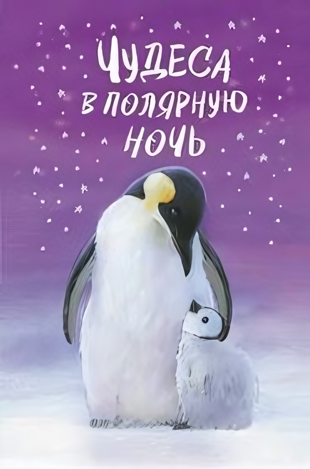 Холли Вебб и другие зимние истории. Чудеса в полярную ночь (Эксмо)