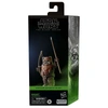Фигурка Hasbro Star Wars The Return of the Jedi Wicket 6136763