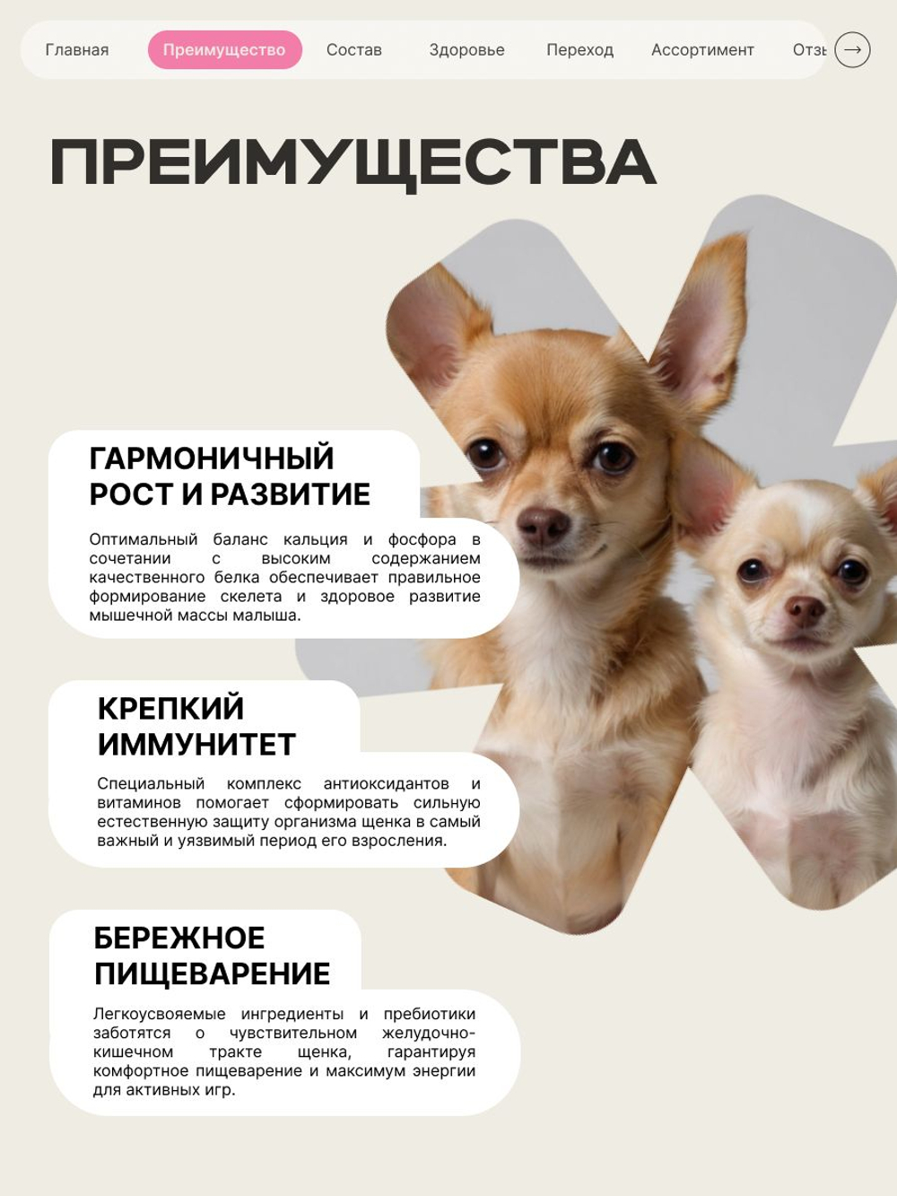 Корм сухой для щенков породы Ньюфаундленд, с говядиной, 12 кг, QUATTRO