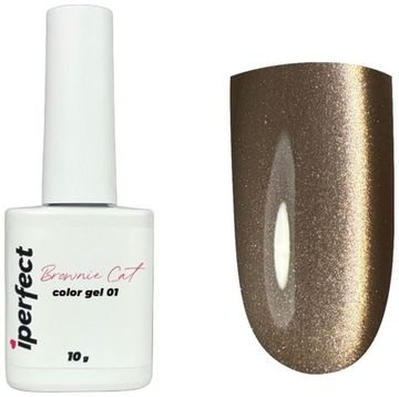 Brownie cat color gel 10g 01 Iperfect