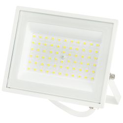 Прожектор светодиодный уличный ЭРА LPR-023-W-65K-050 50Вт 6500K IP65 гарантия 2 года белый | Прожекторы Стандарт