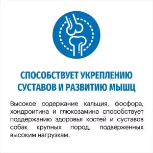 Сухой корм Karmy Maxi Adult для взрослых собак крупных пород, с телятиной