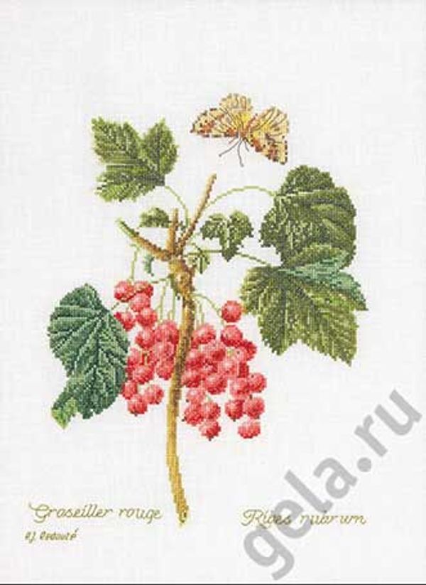 Набор для вышивания нитками Thea Gouverneur, Красная смородина, 26х35 см