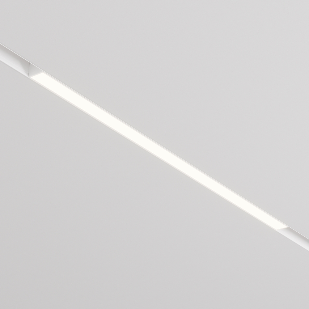 Магнитный трековый светильник Maytoni EXILITY 23мм Basis TR030-4-24WTW-DD2-W