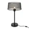 Интерьерная настольная лампа Cobweb FR4024TL-01B1 Freya