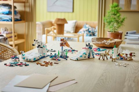 Конструктор LEGO Education 45203 Arctic Animals Science Kit