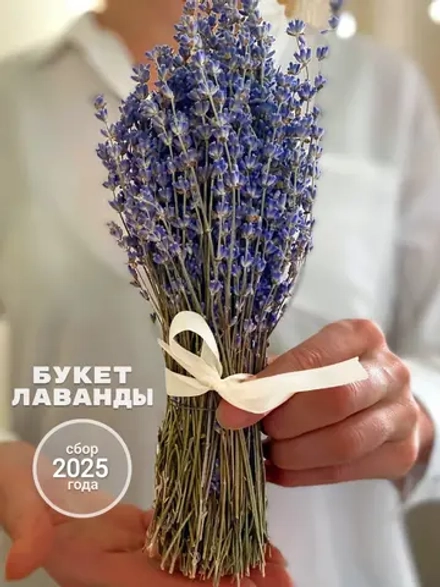 Сухоцветы для декора цветы лаванда натуральная