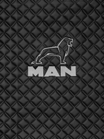Ковры MAN TGX с 2-мя ящиками (автомат) (экокожа, черный, серый кант, серая вышивка)