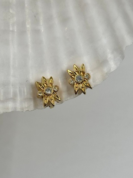 Клипсы с кристаллами Nina Ricci