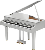 Roland GP 607-PW