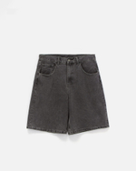 Шорты Anteater BaggyShorts Серый