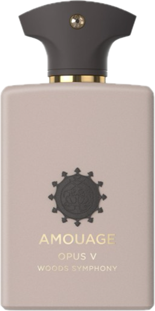 Amouage Opus V Woods Symphony EDP U 100 ml