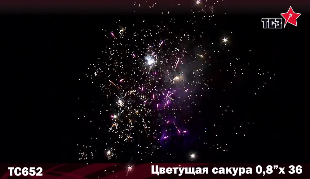 "Цветущая сакура" 0,8" х 36