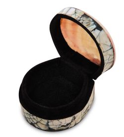 Decor and Gift 54-039-01 Декоративная шкатулка «Ракушка»