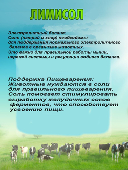 Соль для животных лизунец кормовая для имуннитета витамины