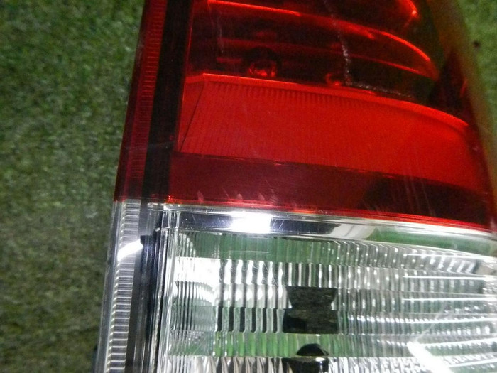 DSCN6575.jpg