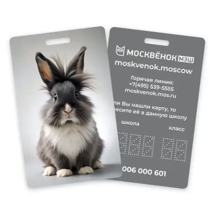 Карта Москвёнок BUNNY №1 (проход + питание)