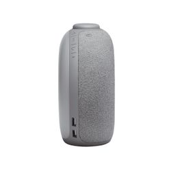 Портативная колонка JBL Horizon 2 Grey