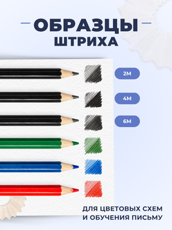 Набор графитовых и цветных карандашей "Школьный", шестигранные, 6 шт.