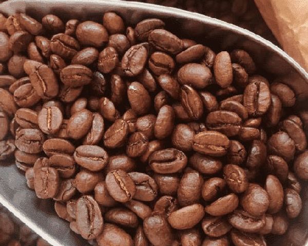 Натуральный кофе в зёрнах: какой лучше выбрать? Натуральный кофе в зёрнах: какой лучше выбрать?