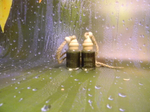 Автопарфюм Escentric Molecules Escentric 01 12 ml