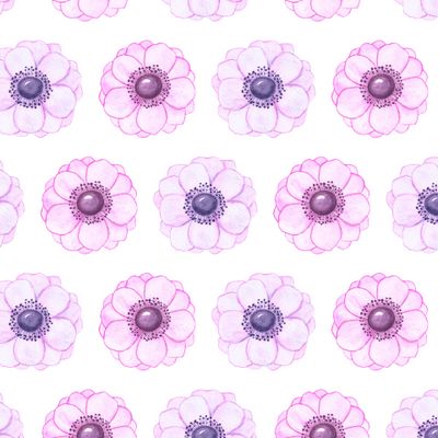 Anemone flowers seamless pattern. Watercolor illustration.