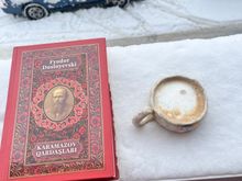 Karamazov Qardaşları