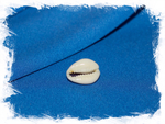 Cypraea annulus camelorum