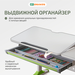 Письменный стол для школьников Ergokids Aspen с полкой S-50