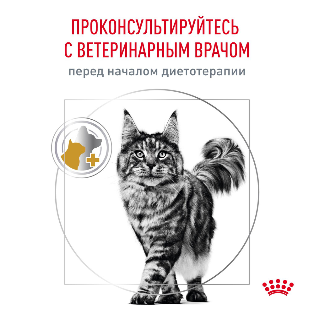 Royal Canin Urinary S/O Уринари С/О Корм влажный диета для взрослых кошек при МКБ и цистите соус  85г
