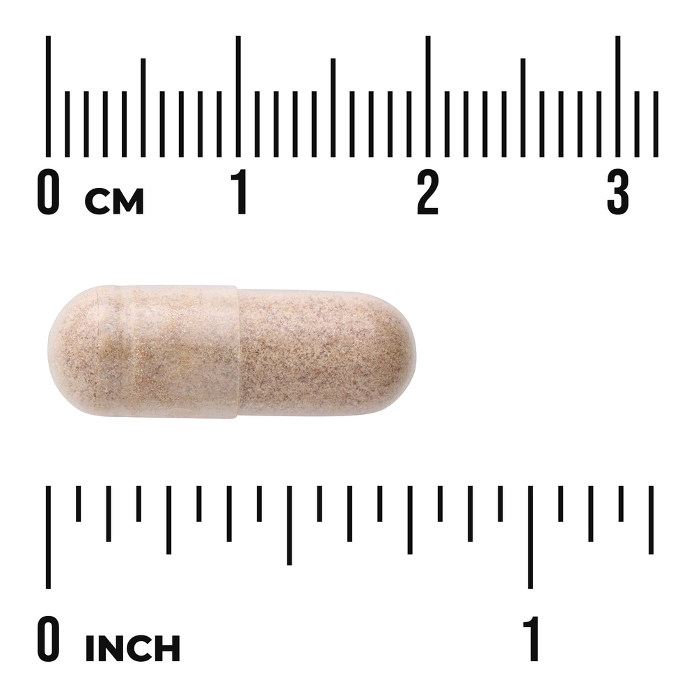 Swanson Vitamins, комплекс экстрактов трав для памяти, 60 капсул