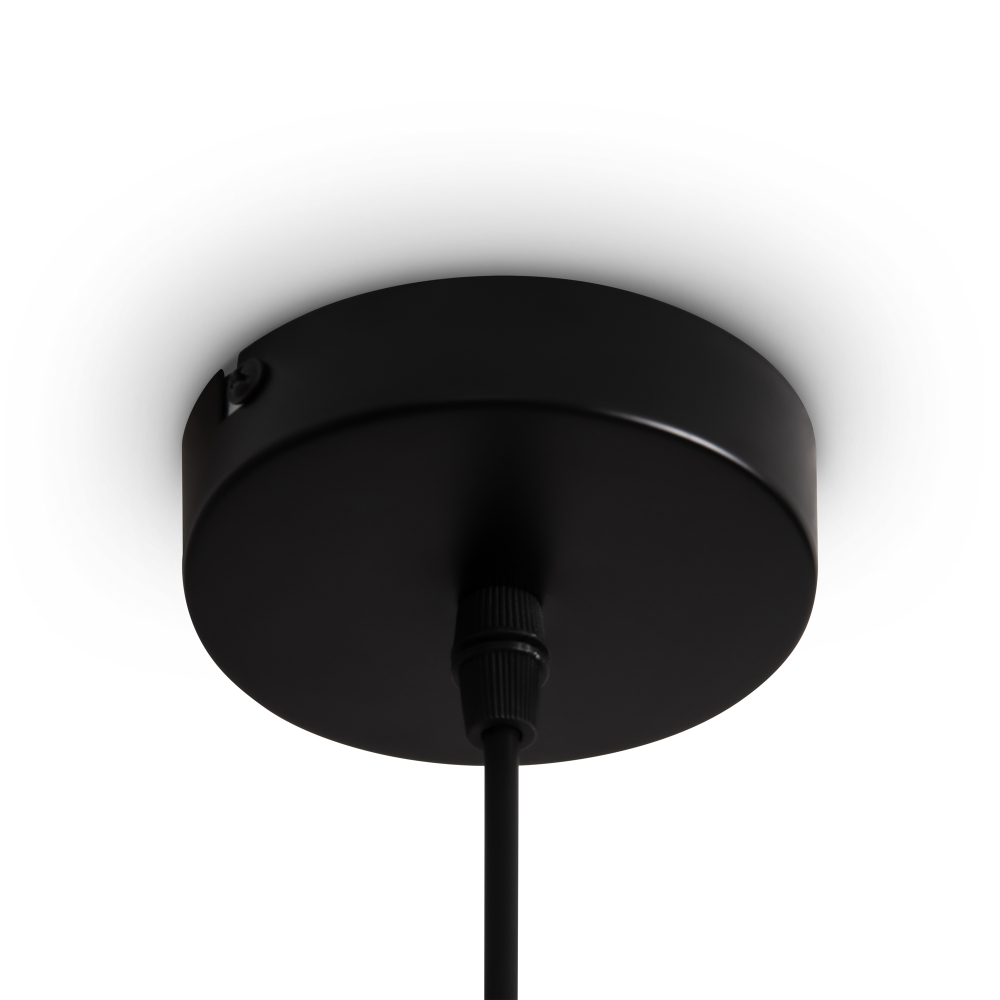 Подвесной светильник Freya Topi FR5503PL-01B