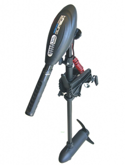 Электромотор Haswing Osapian 40