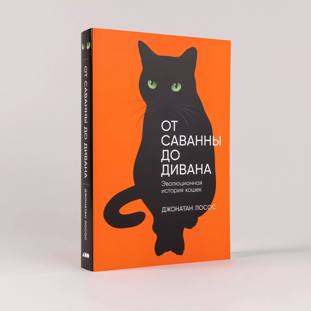От саванны до дивана