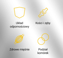 LifeCode, разработанный доктором Максом - липосомальный витамин D 2000 МЕ, 90 капсул