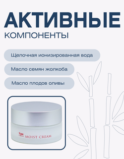 Увлажняющий крем для лица Spa Treatment Abso Water Moist Cream, 30 г