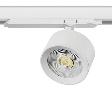 Светильник для трековой системы Quattro LED с управлением DALI 15W 4000K A5546DALI белый Alta Pro Lightstar