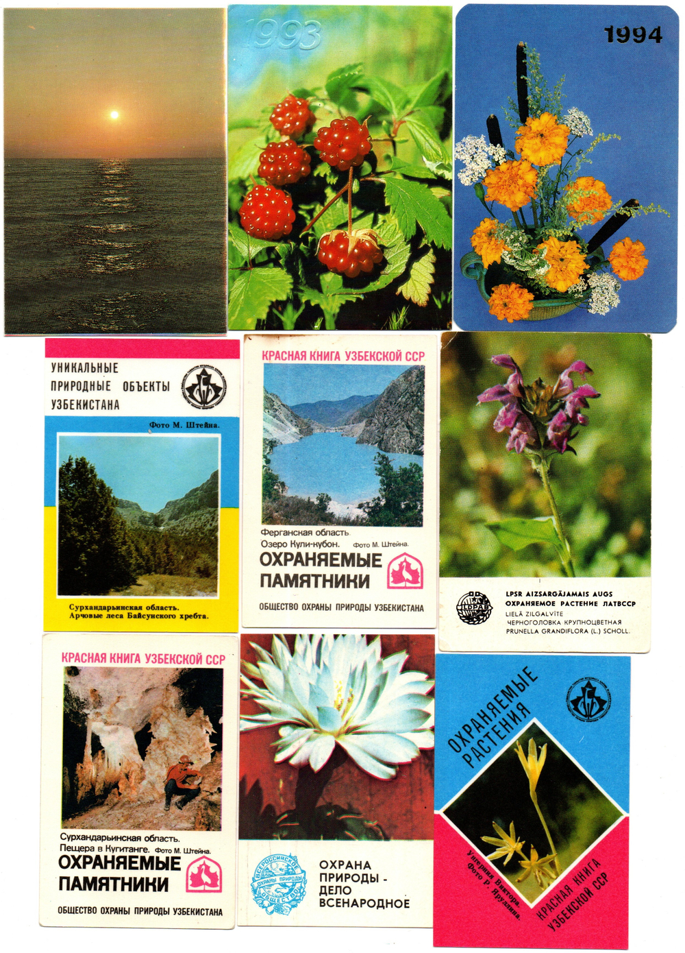 Календарики карманные 25 штук. Природа и растения - 1981 - 1994 гг.